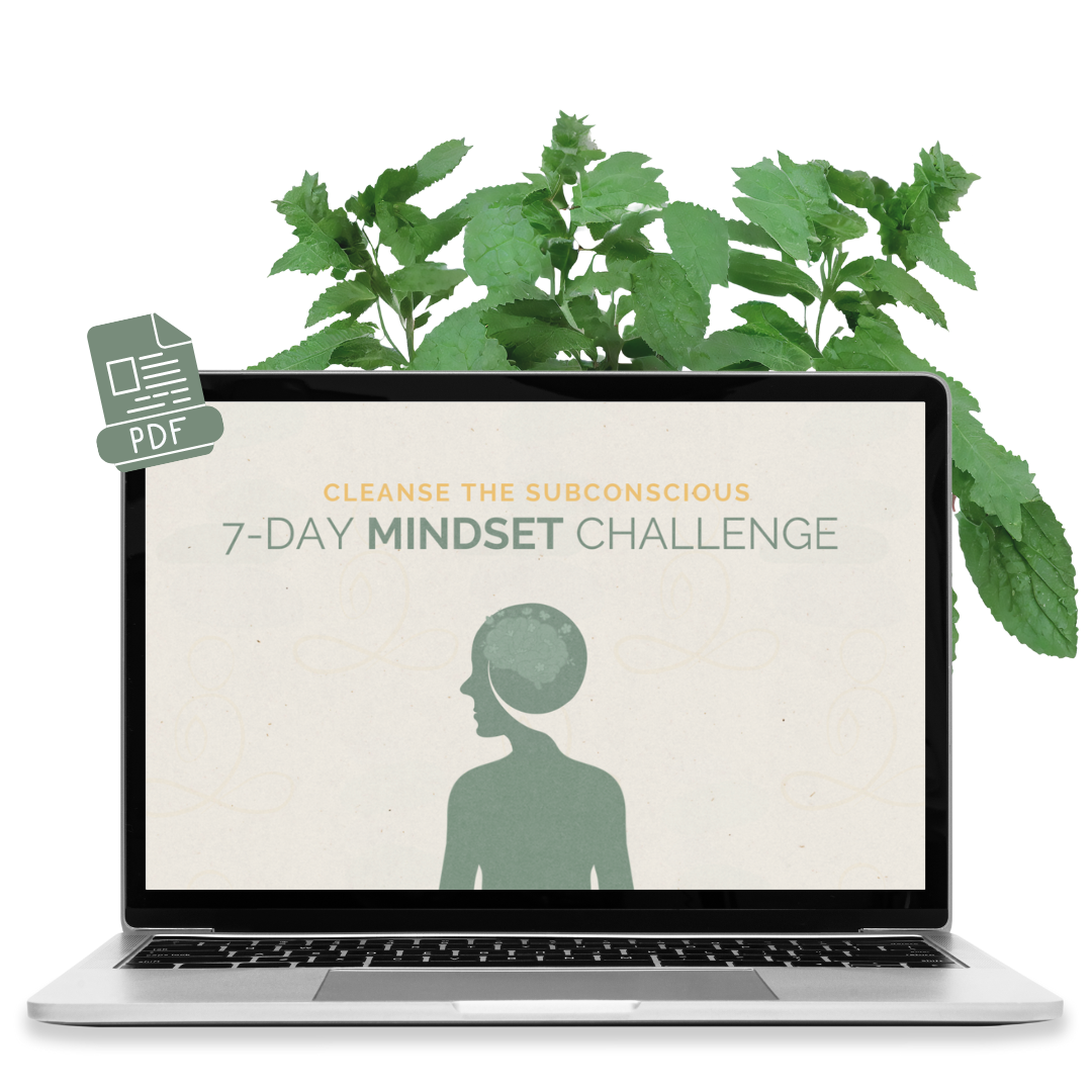 7 DAY MINDSET CLEANSE CHALLENGE